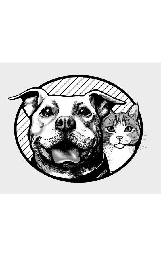 The Street Dog Coalition logo