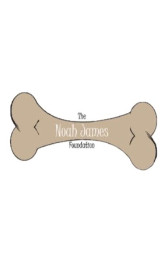 The Noah James Foundation logo