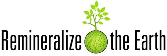 Remineralize the Earth logo
