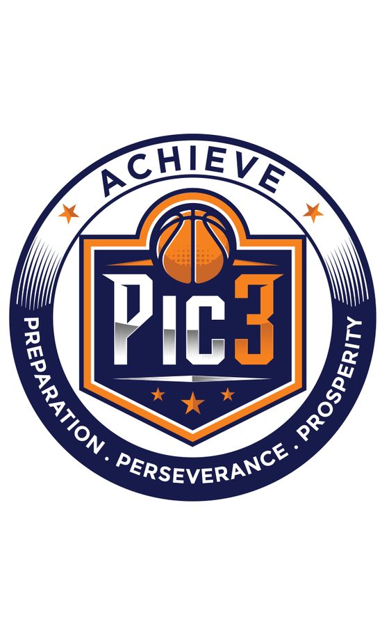 PIC3 Organization logo