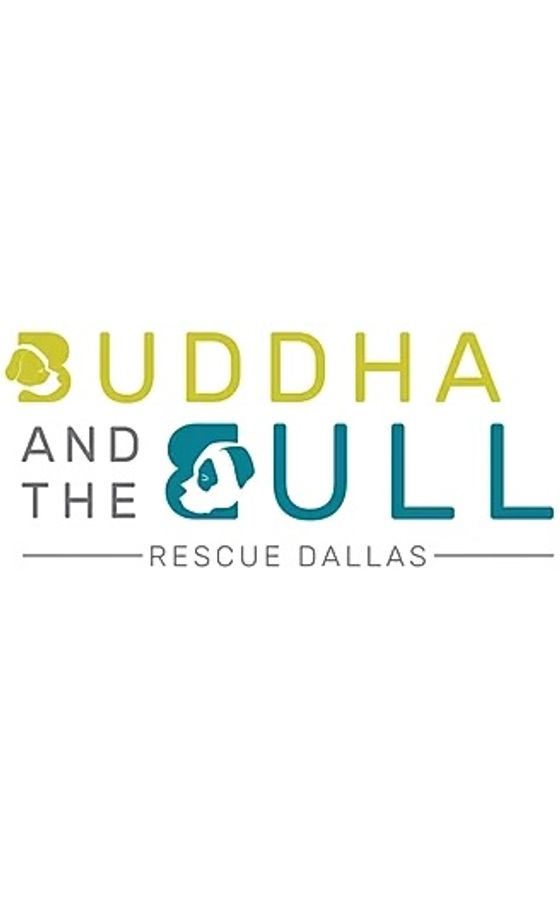BUDDHA AND THE BULL RESCUE logo