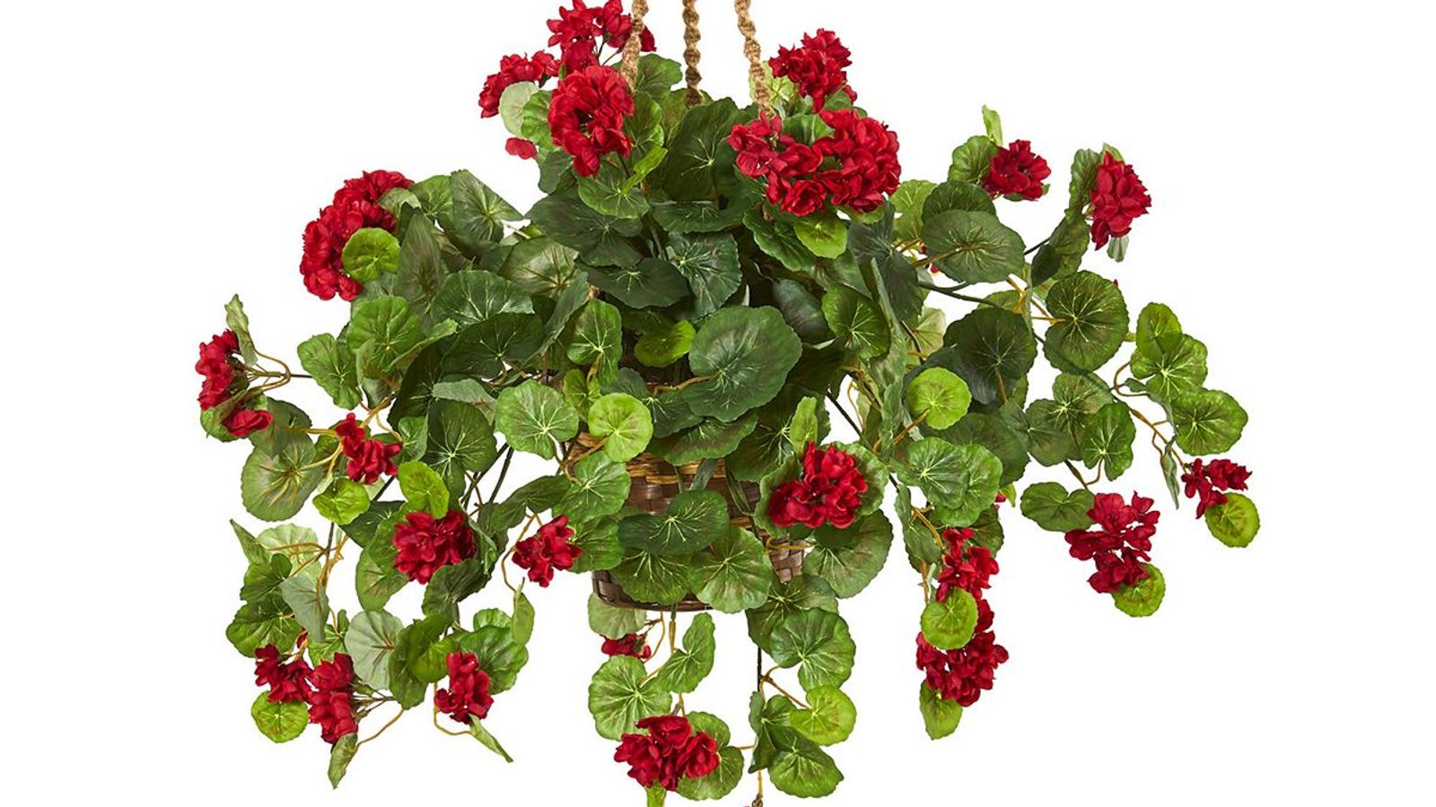 Red Geranium Hanging Basket 2023