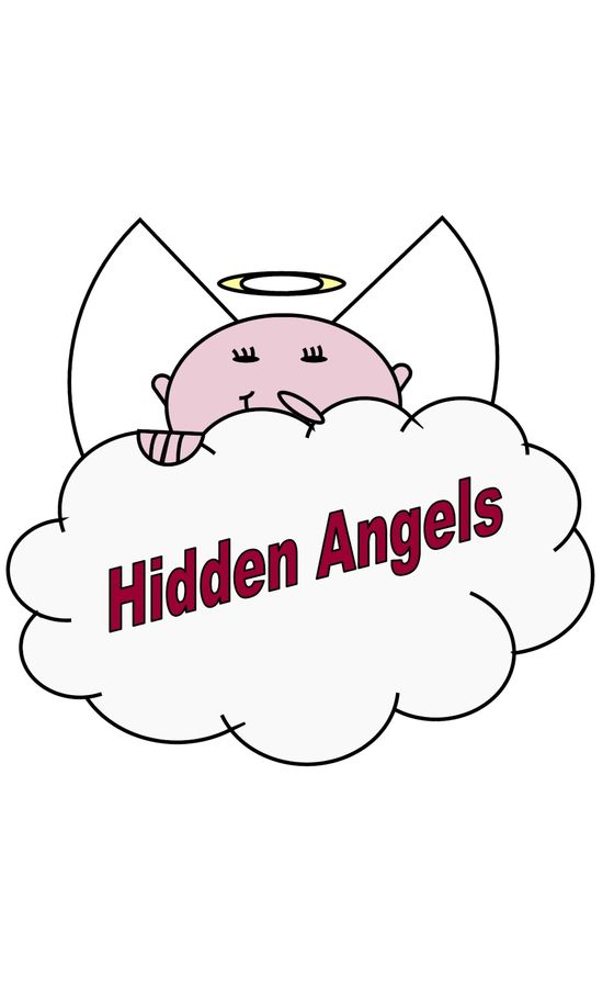 Hidden Angels logo