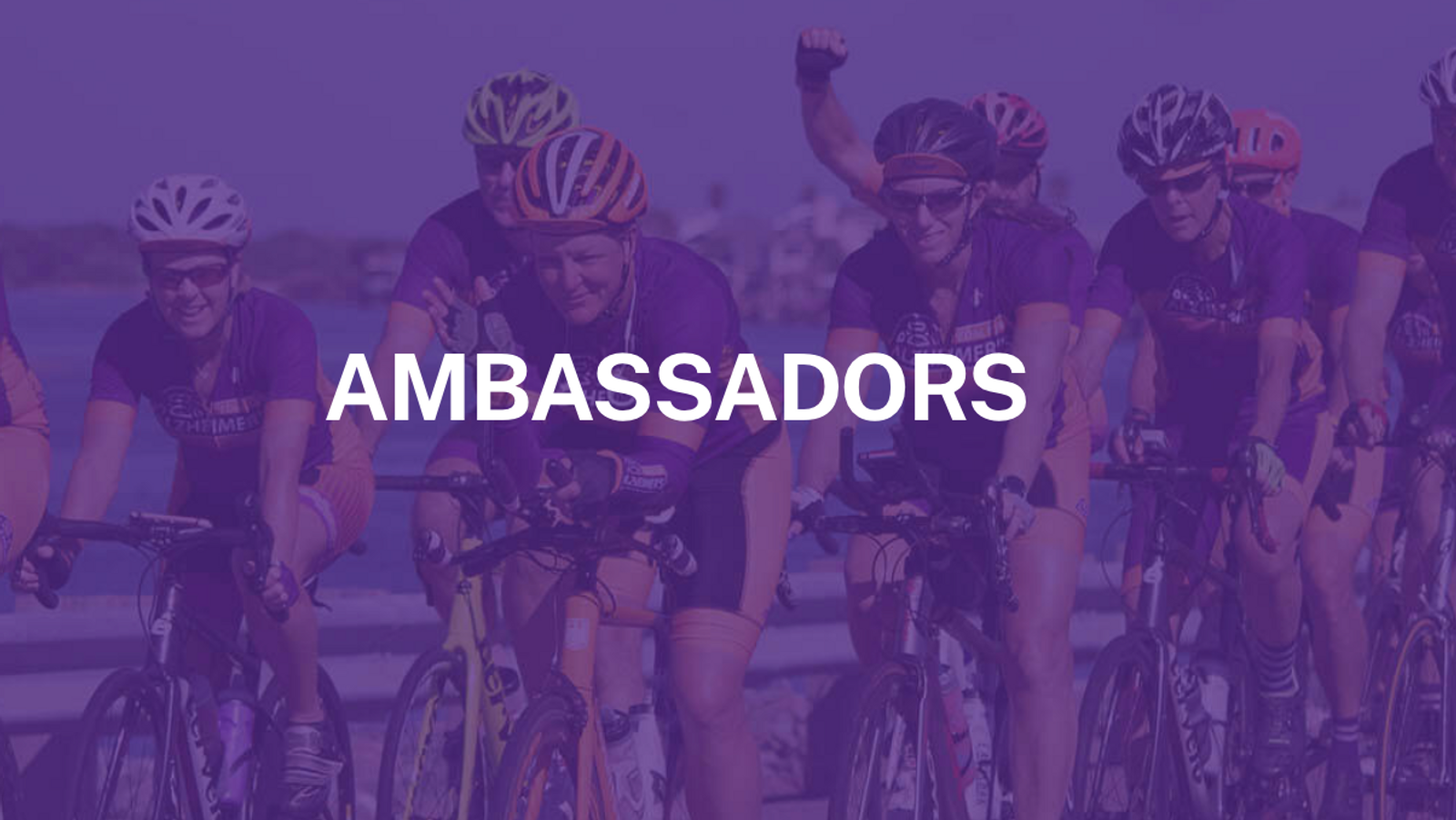 2022 Official Ambassadors