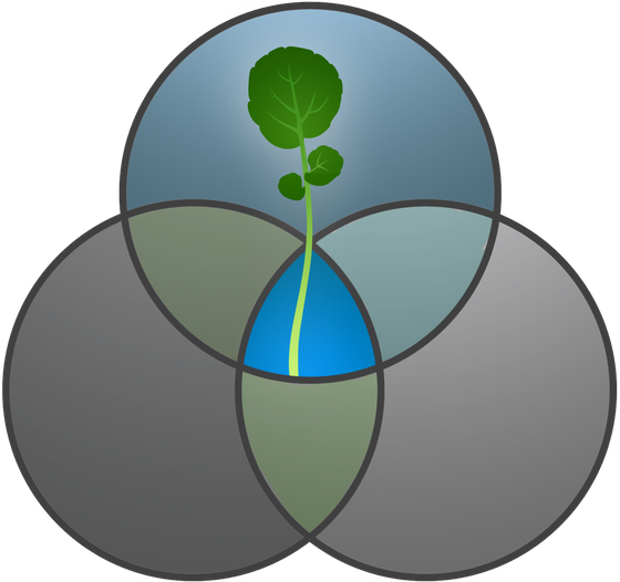 Clement Waters Retreat logo