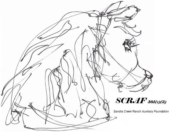 Sandia Creek Ranch Auxiliary Foundation logo