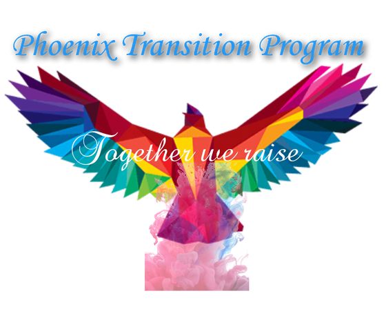 Phoenix Transition Program Inc logo
